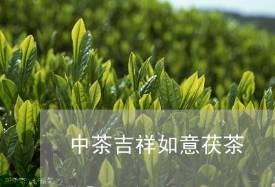 中茶吉祥如意茯茶/2023032417382