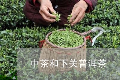 中茶和下关普洱茶/2023041178283