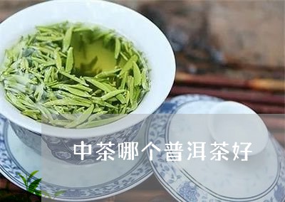 中茶哪个普洱茶好/2023041116181