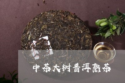 中茶大树普洱熟茶/2023032923849