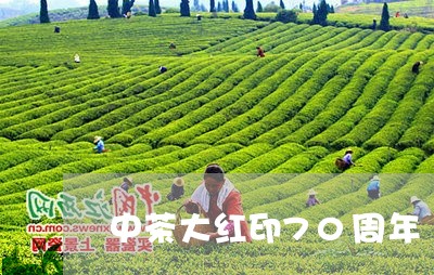 中茶大红印70周年/2023041640501