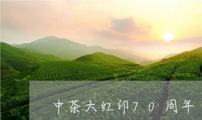 中茶大红印70周年/2023041650470