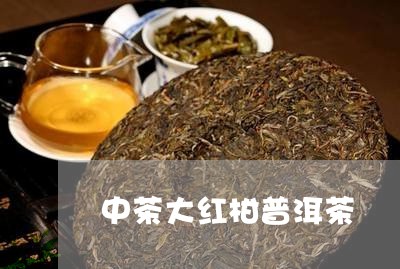 中茶大红柑普洱茶/2023041130581