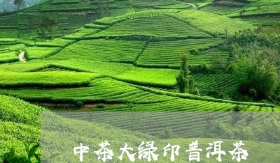 中茶大绿印普洱茶/2023031838272