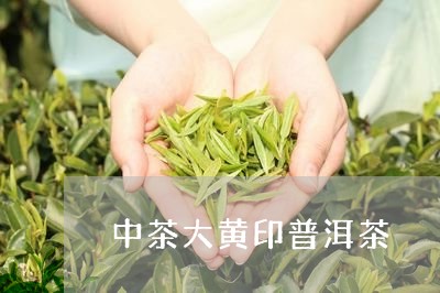 中茶大黄印普洱茶/2023041145736