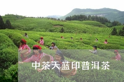 中茶天蓝印普洱茶/2023031680726