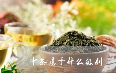 中茶属于什么级别/2023032400605