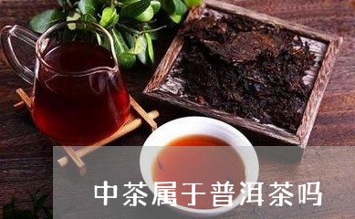 中茶属于普洱茶吗/2023031638473