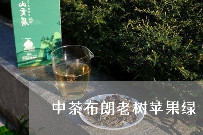 中茶布朗老树苹果绿/2023041638272