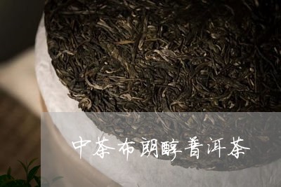 中茶布朗醇普洱茶/2023041173070