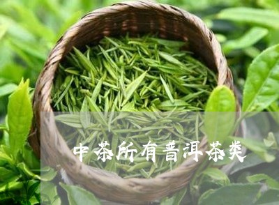 中茶所有普洱茶类/2023041149470