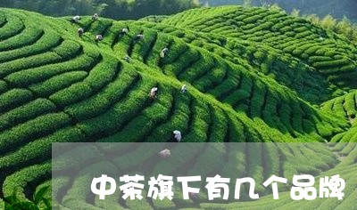 中茶旗下有几个品牌/2023041615139