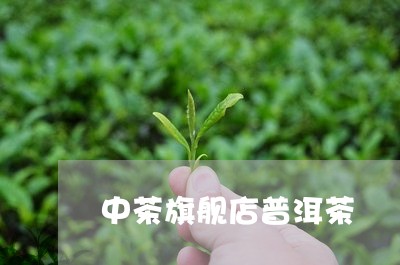 中茶旗舰店普洱茶/2023041381015