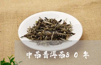 中茶普洱茶80年/2023041196261