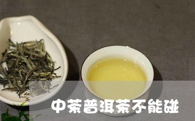 中茶普洱茶不能碰/2023041167181