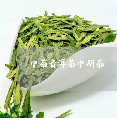 中茶普洱茶中期茶/2023041025240