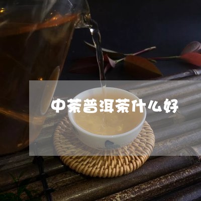 中茶普洱茶什么好/2023031537090