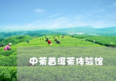 中茶普洱茶体验馆/2023041108481