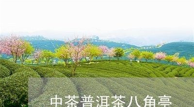 中茶普洱茶八角亭/2023033104839