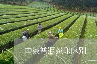 中茶普洱茶印区别/2023031665840