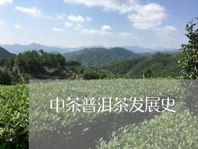 中茶普洱茶发展史/2023041471735