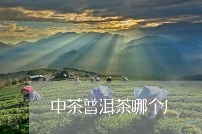 中茶普洱茶哪个厂/2023031511724