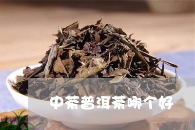 中茶普洱茶哪个好/2023031691824