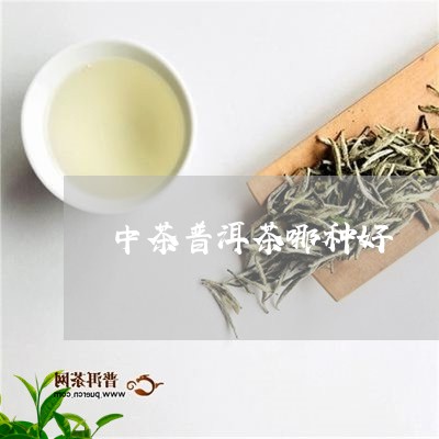 中茶普洱茶哪种好/2023031648494