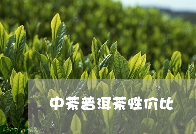 中茶普洱茶性价比/2023031759471