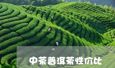 中茶普洱茶性价比/2023041255137