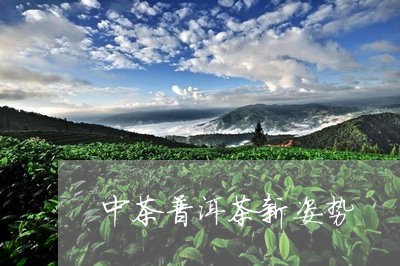 中茶普洱茶新姿势/2023031645148