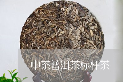 中茶普洱茶标杆茶/2023041038696