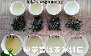 中茶普洱茶深圳店/2023041109571