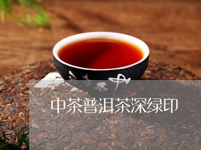 中茶普洱茶深绿印/2023041164138