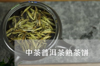 中茶普洱茶熟茶饼/2023041158571