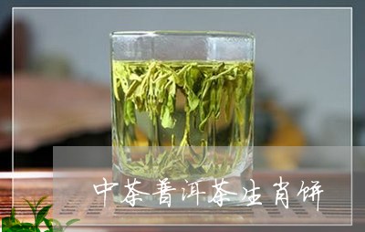 中茶普洱茶生肖饼/2023031681694