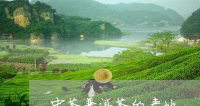 中茶普洱茶的产地/2023041197392