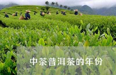 中茶普洱茶的年份/2023041128593