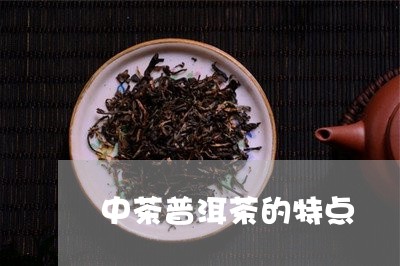 中茶普洱茶的特点/2023041110483