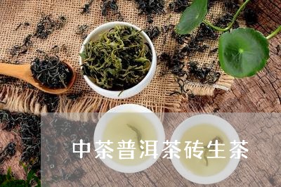 中茶普洱茶砖生茶/2023031668268