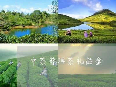 中茶普洱茶礼品盒/2023041280604