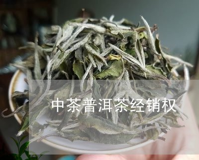 中茶普洱茶经销权/2023033120482