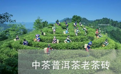 中茶普洱茶老茶砖/2023031594368