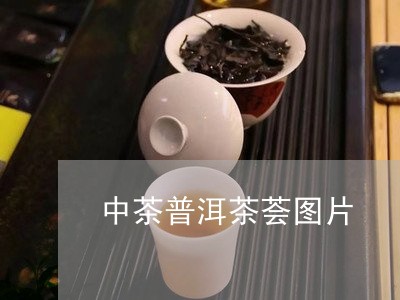 中茶普洱茶荟图片/2023041142926