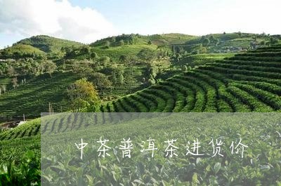 中茶普洱茶进货价/2023031656149