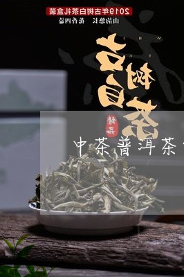 中茶普洱茶饼生茶/2023041112147