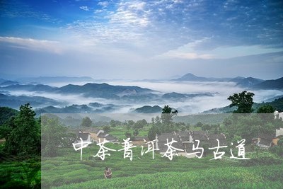 中茶普洱茶马古道/2023041304039