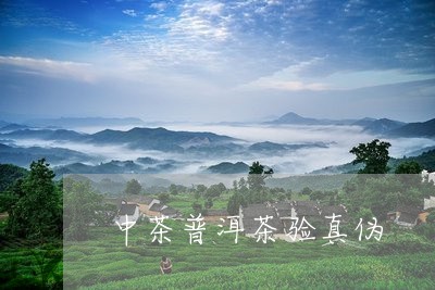 中茶普洱茶验真伪/2023031504817