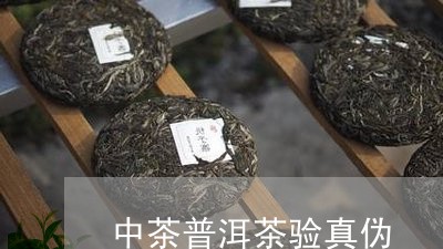 中茶普洱茶验真伪/2023041135152