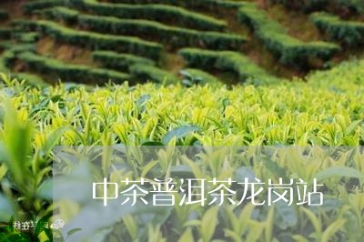 中茶普洱茶龙岗站/2023041108350